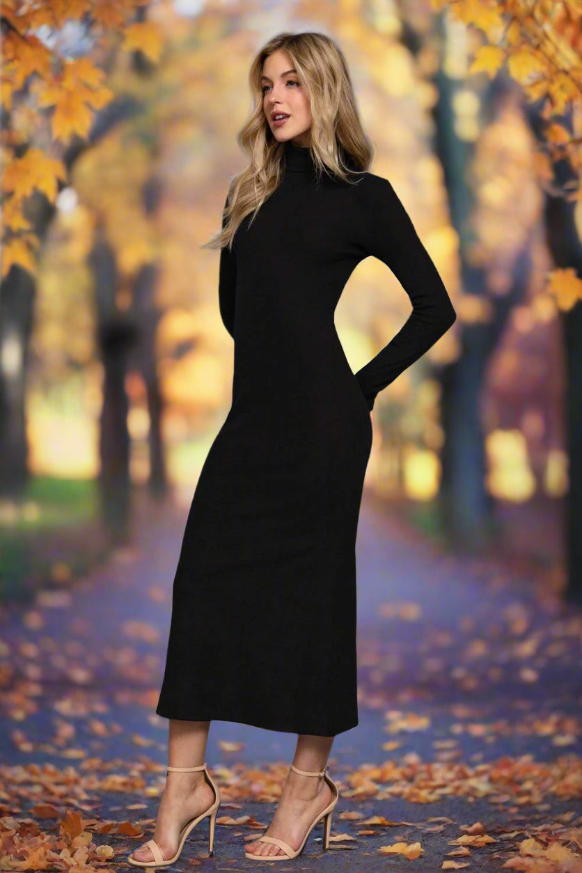 Long Sleeve Turtle Neck Brushed Rib Long Dress - Bellissima by Ari LLC.